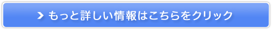 ���Ƃ���ސ��˔[���̔��T�C�g��